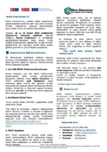 NeDst Bülten #2 – Türkçe